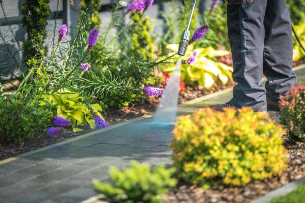 Reliable Lake Brownwood, TX  Pressure Washing Services Solutions